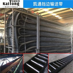 大倾角挡边带技术进出口与报价分析