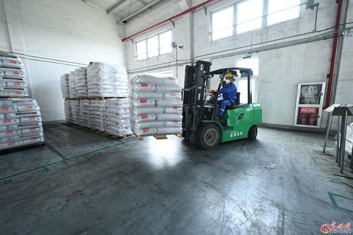 金山海关精准发力，多措并举助力化工企业复工复产与技术进出口提速